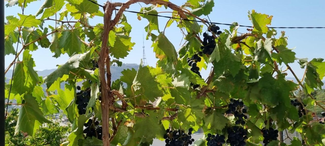 Eco Tbilisi Lägenhet Exteriör bild